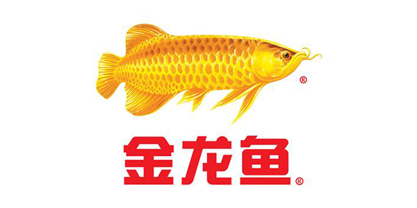 �����~(y��)